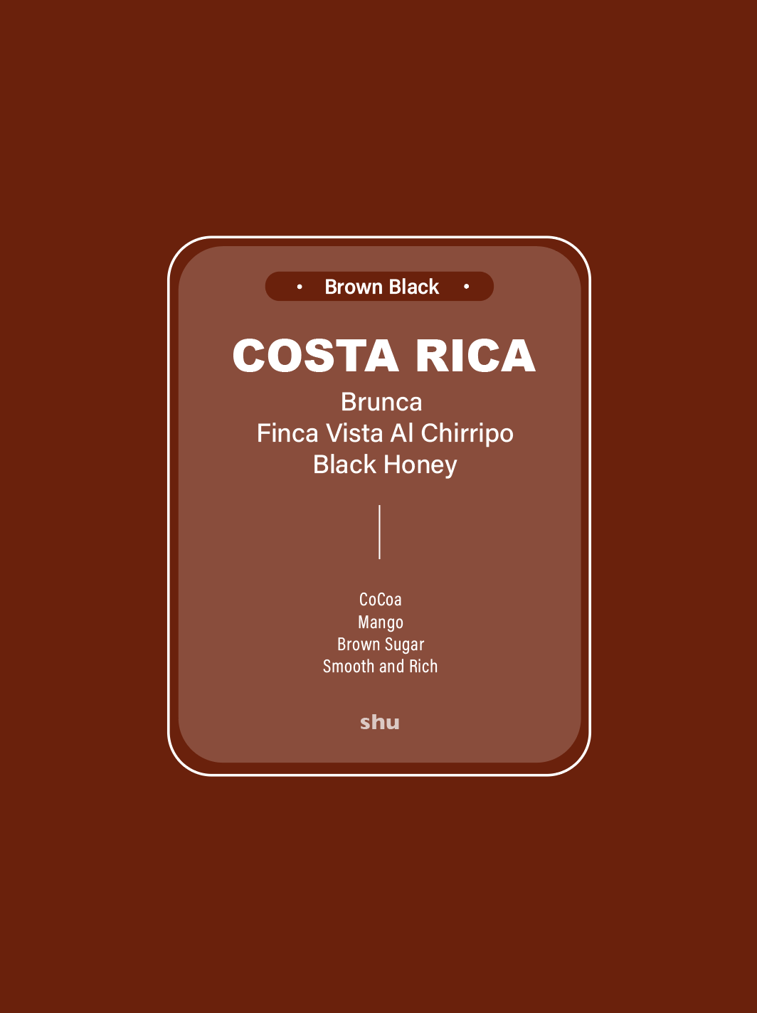 Costa Rica Brunca Rivense Black Honey