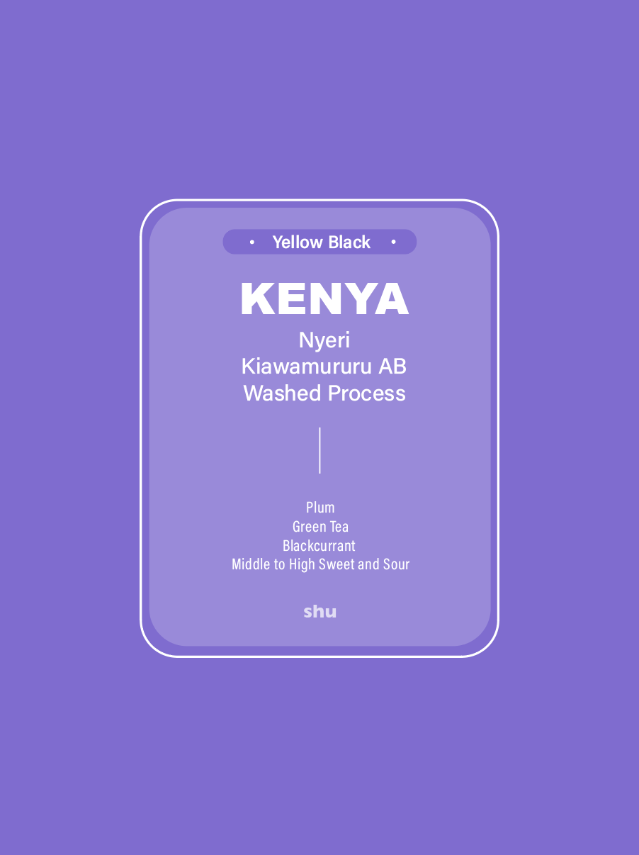 Kenya Nyeri Kiawamururu Washed