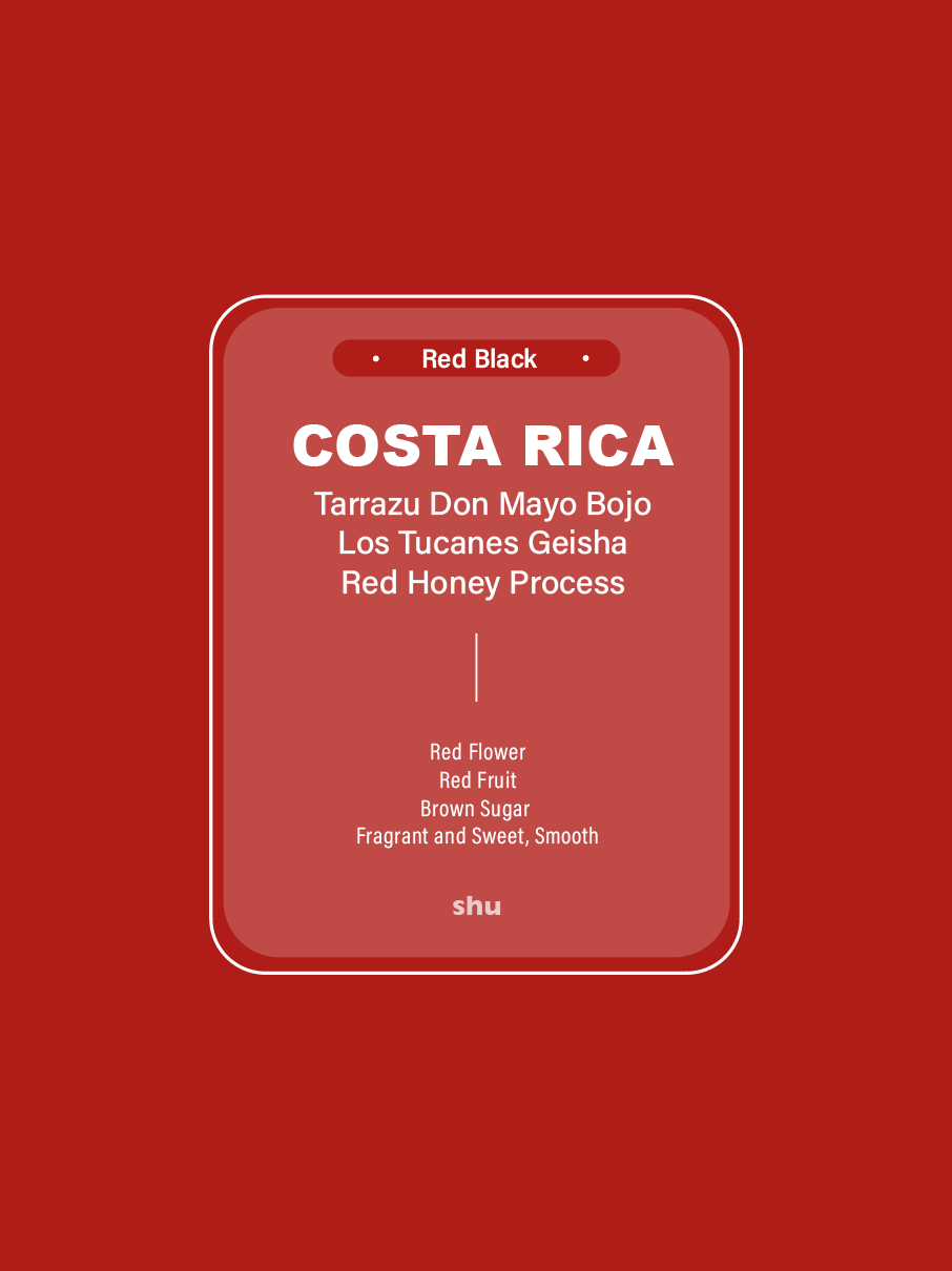 Costa Rica Tarrazu Bon Mayo Geisha Red Honey