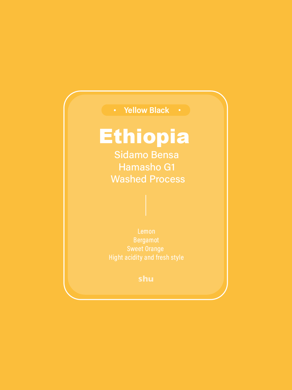 Ethiopia Sidamo Bensa Hamasho Washed