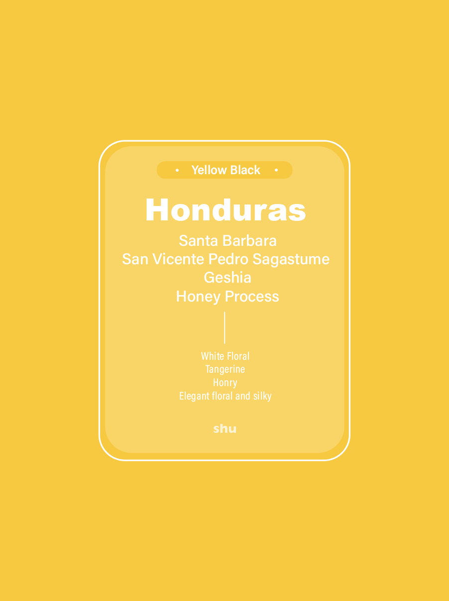 Honduras Santa Barbara Geisha Honey